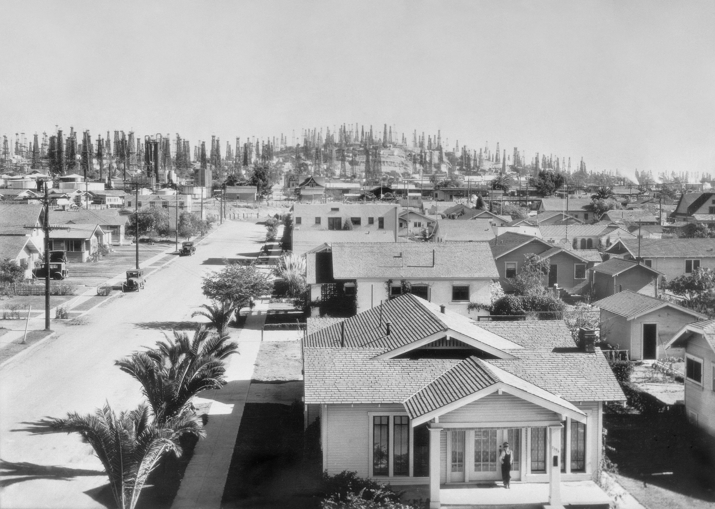 Oil wells covering Signal Hill in the new suburb of Long Baach, California in 1926.